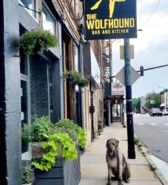 The Wolfhound Bar